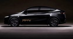 Tesla robotaxis launch in Austin with $4.20 invite-only service and human safety monitors