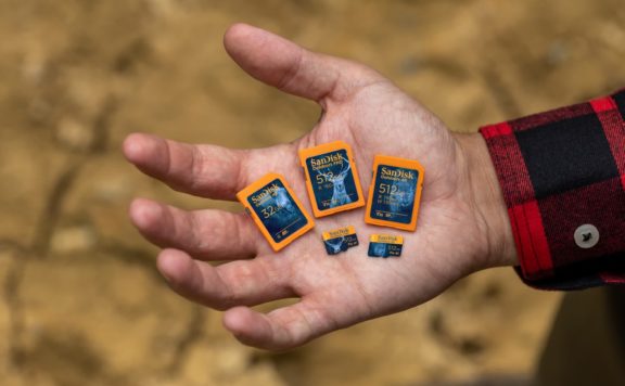 Hundreds of SD cards tested reveal surprising performance and reliability gaps