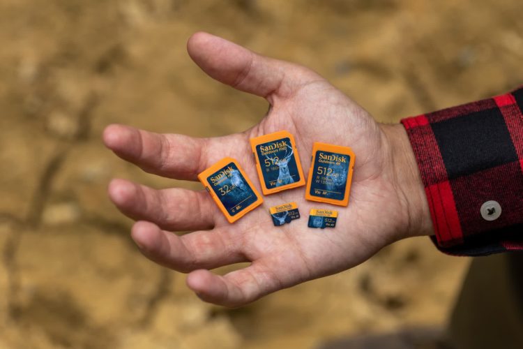 Hundreds of SD cards tested reveal surprising performance and reliability gaps